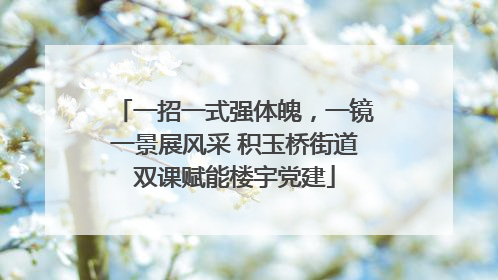 一招一式强体魄，一镜一景展风采 积玉桥街道双课赋能楼宇党建