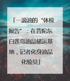 一滴油的“体检报告”：在普陀东白莲岛油品储运基地，记者化身油品化验员