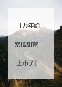 万年哈密瓜甜蜜上市了