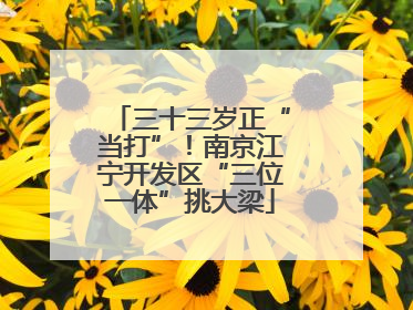 三十三岁正“当打”！南京江宁开发区“三位一体”挑大梁