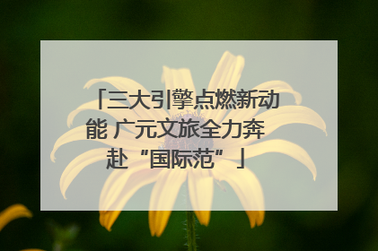 三大引擎点燃新动能 广元文旅全力奔赴“国际范”