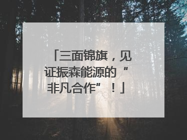 三面锦旗，见证振森能源的“非凡合作”！