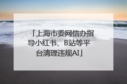 上海市委网信办指导小红书、B站等平台清理违规AI
