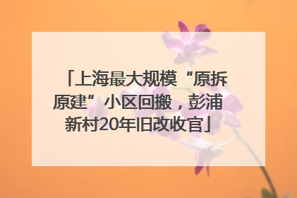 上海最大规模“原拆原建”小区回搬，彭浦新村20年旧改收官