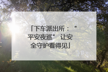 下车派出所：“平安夜巡” 让安全守护看得见