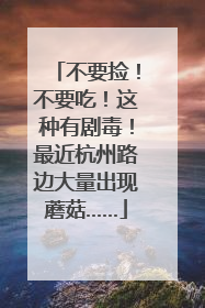 不要捡！不要吃！这种有剧毒！最近杭州路边大量出现蘑菇……