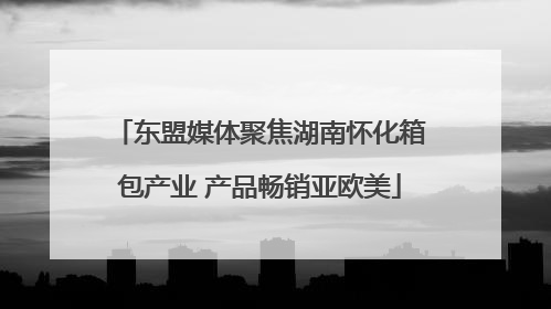 东盟媒体聚焦湖南怀化箱包产业 产品畅销亚欧美