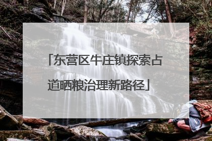 东营区牛庄镇探索占道晒粮治理新路径