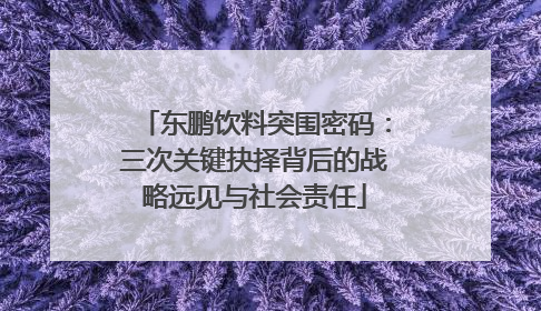 东鹏饮料突围密码：三次关键抉择背后的战略远见与社会责任