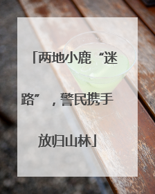 两地小鹿“迷路”，警民携手放归山林