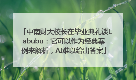 中南财大校长在毕业典礼谈Labubu：它可以作为经典案例来解析，AI难以给出答案