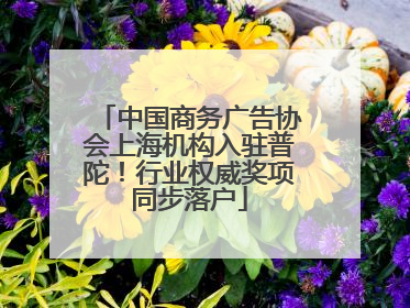 中国商务广告协会上海机构入驻普陀！行业权威奖项同步落户