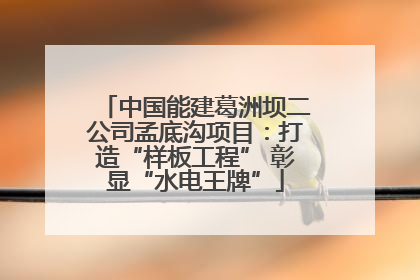 中国能建葛洲坝二公司孟底沟项目：打造“样板工程” 彰显“水电王牌”