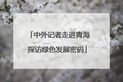 中外记者走进青海 探访绿色发展密码