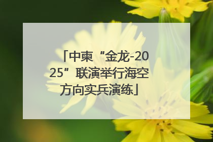 中柬“金龙-2025”联演举行海空方向实兵演练