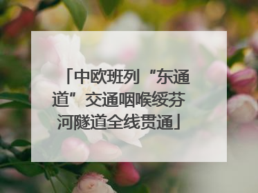 中欧班列“东通道”交通咽喉绥芬河隧道全线贯通
