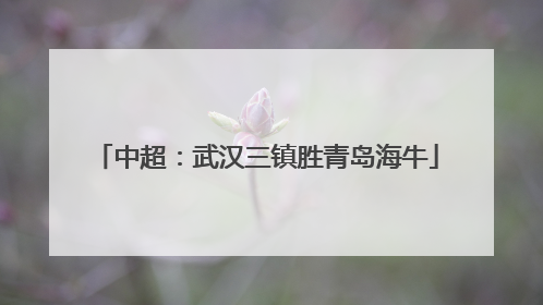 中超：武汉三镇胜青岛海牛