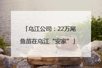 乌江公司：22万尾鱼苗在乌江“安家”