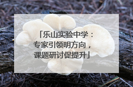 乐山实验中学：专家引领明方向，课题研讨促提升