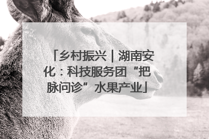 乡村振兴｜湖南安化：科技服务团“把脉问诊”水果产业