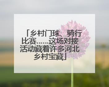 乡村门球、骑行比赛……这场对接活动藏着许多河北乡村宝藏