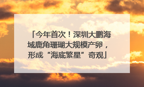 今年首次！深圳大鹏海域鹿角珊瑚大规模产卵，形成“海底繁星”奇观