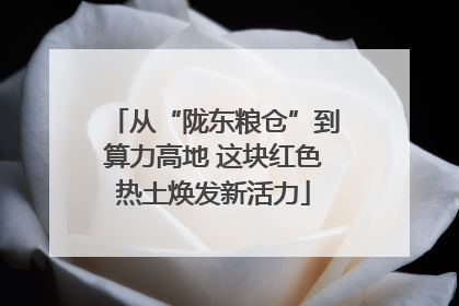 从“陇东粮仓”到算力高地 这块红色热土焕发新活力