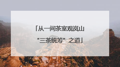 从一间茶室观岚山“三茶统筹”之道