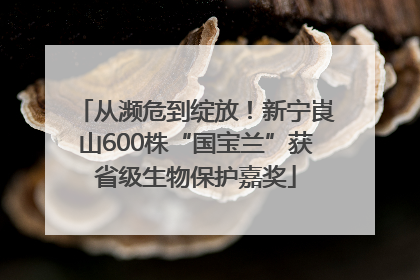 从濒危到绽放！新宁崀山600株“国宝兰”获省级生物保护嘉奖