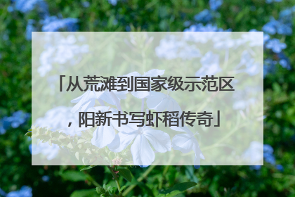 从荒滩到国家级示范区，阳新书写虾稻传奇