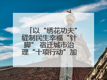以“绣花功夫”缝制民生幸福“针脚” 宿迁城市治理“十项行动”加速落地