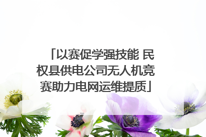 以赛促学强技能 民权县供电公司无人机竞赛助力电网运维提质