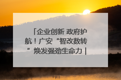企业创新 政府护航！广安“智改数转”焕发强劲生命力｜市州焕新力