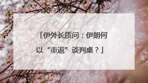 伊外长质问：伊朗何以“重返”谈判桌？