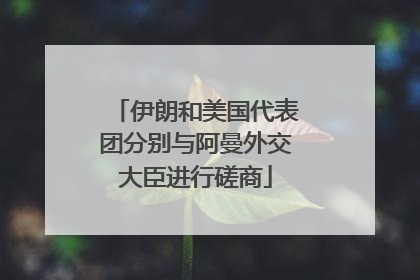 伊朗和美国代表团分别与阿曼外交大臣进行磋商