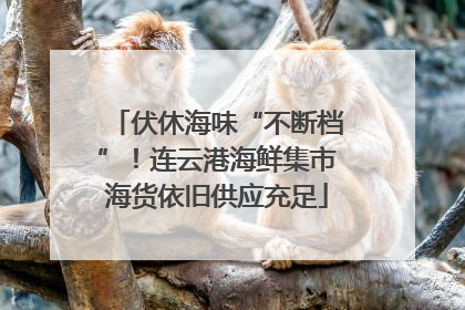 伏休海味“不断档”！连云港海鲜集市海货依旧供应充足