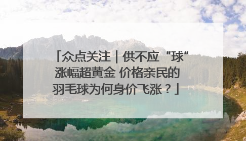 众点关注｜供不应“球” 涨幅超黄金 价格亲民的羽毛球为何身价飞涨？