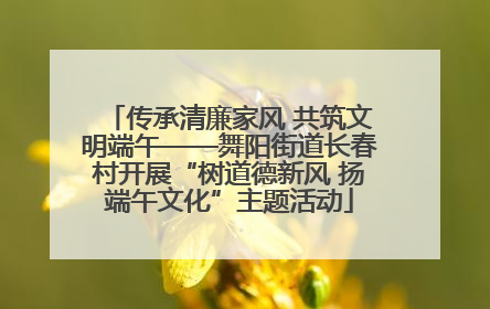 传承清廉家风 共筑文明端午——舞阳街道长春村开展“树道德新风 扬端午文化”主题活动