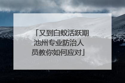 又到白蚁活跃期 池州专业防治人员教你如何应对