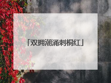 双拥潮涌刺桐红