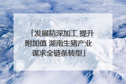 发展精深加工 提升附加值 湖南生猪产业谋求全链条转型