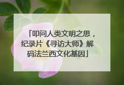 叩问人类文明之思，纪录片《寻访大师》解码法兰西文化基因