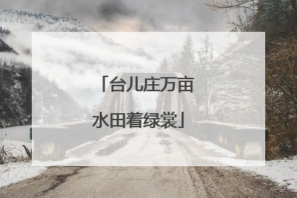 台儿庄万亩水田着绿裳