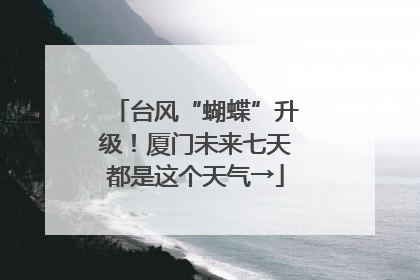 台风“蝴蝶”升级！厦门未来七天都是这个天气→