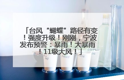 台风“蝴蝶”路径有变！强度升级！刚刚，宁波发布预警：暴雨！大暴雨！11级大风！