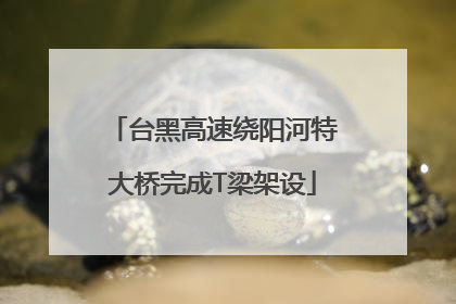 台黑高速绕阳河特大桥完成T梁架设