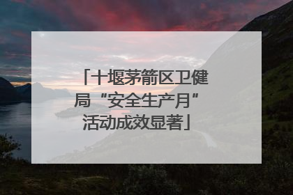 十堰茅箭区卫健局“安全生产月”活动成效显著
