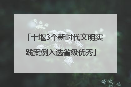 十堰3个新时代文明实践案例入选省级优秀