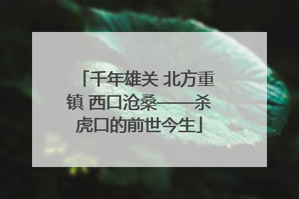 千年雄关 北方重镇 西口沧桑——杀虎口的前世今生