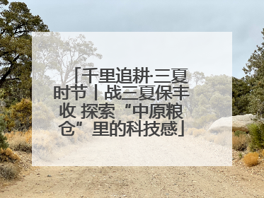 千里追耕·三夏时节丨战三夏保丰收 探索“中原粮仓”里的科技感